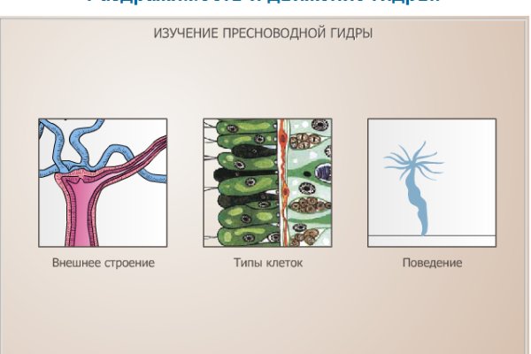 Кракен дарк сайт