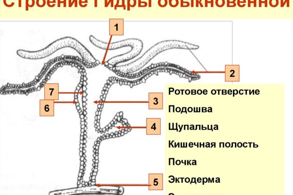 Рабочая ссылка на кракен kraken 11 store