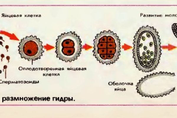 Ссылка на кракен не работает