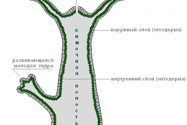 Магазин кракен даркнет сайт