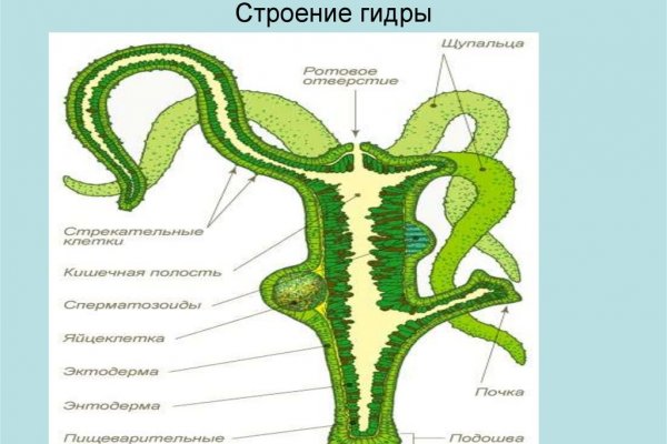 Кракен как зарегистрироваться