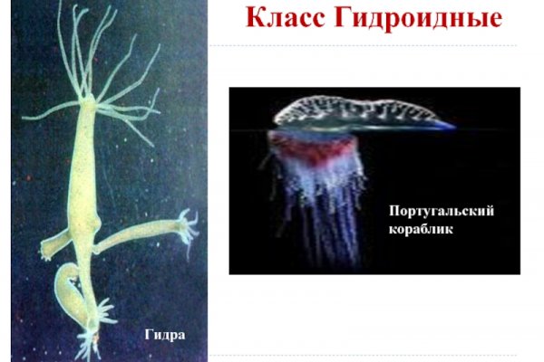 Магазин кракен дарк