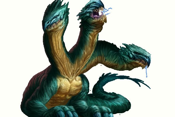 Kraken19at