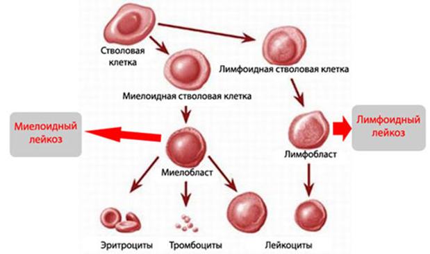 Кракен в обход