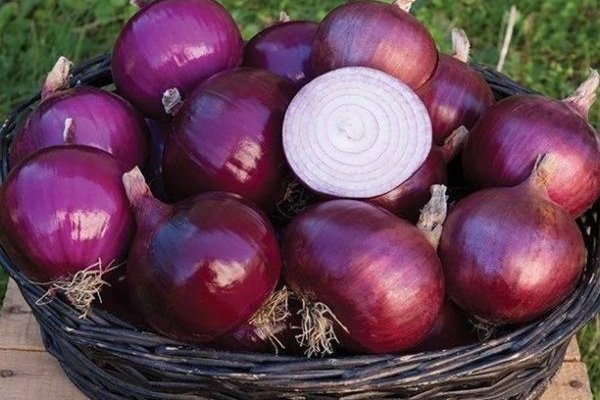 Кракен маркетплейс что там продают